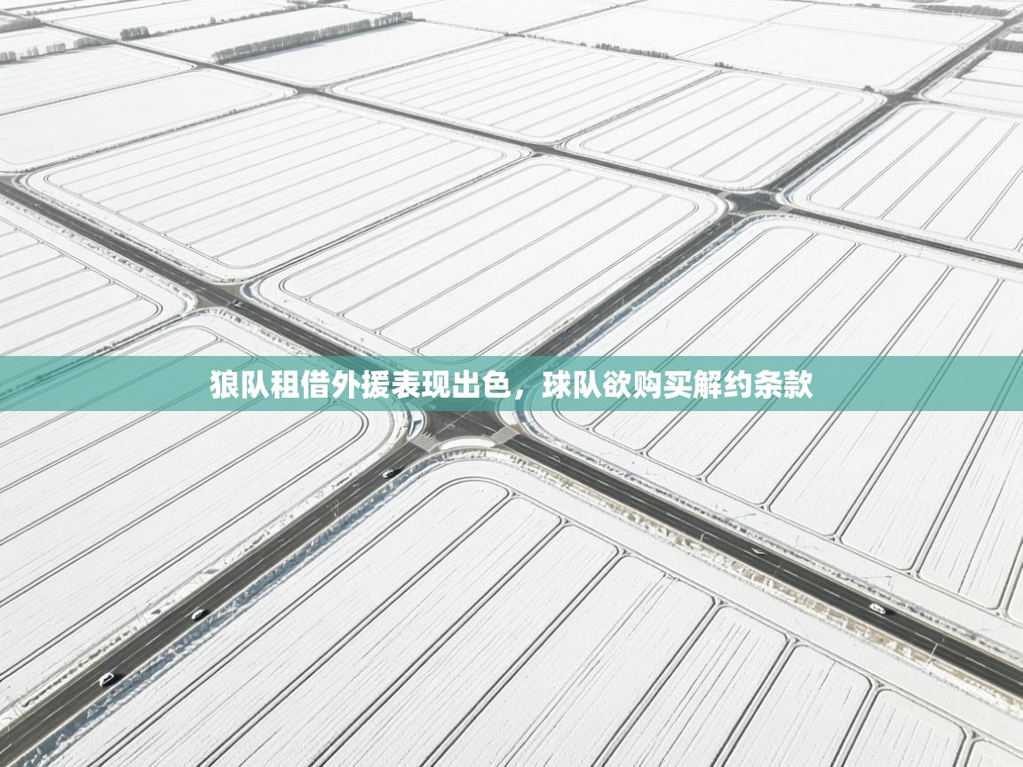 狼队租借外援表现出色,球队欲购买解约条款 狼队租借外援表现出色,球队欲购买解约条款