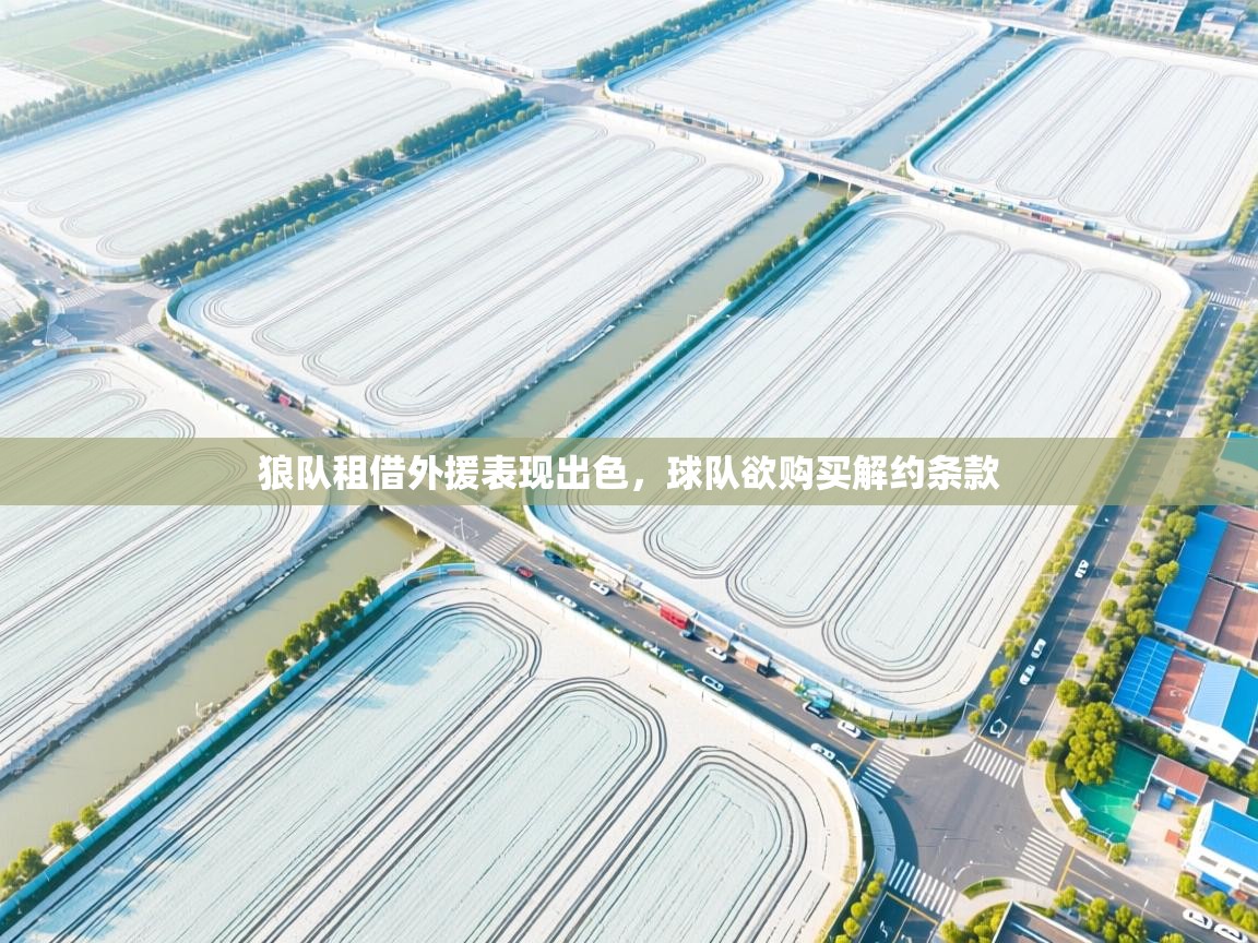 狼队租借外援表现出色,球队欲购买解约条款 狼队租借外援表现出色,球队欲购买解约条款